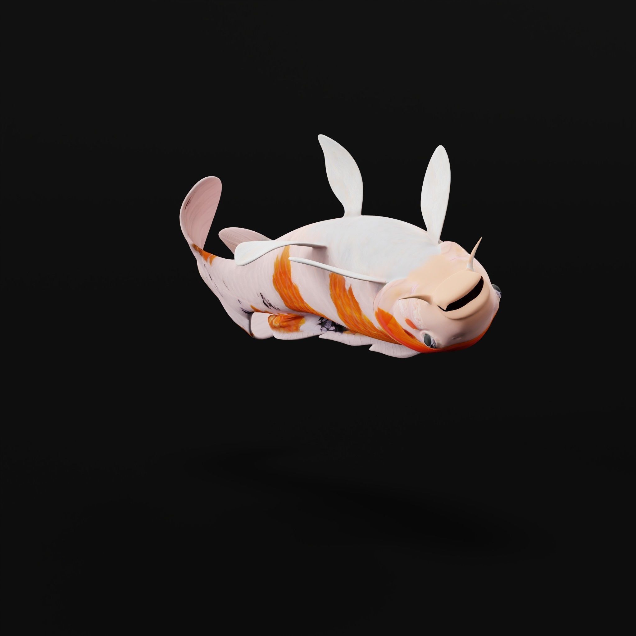 Nishikigoi Koi Fish Low-poly 3D model_13