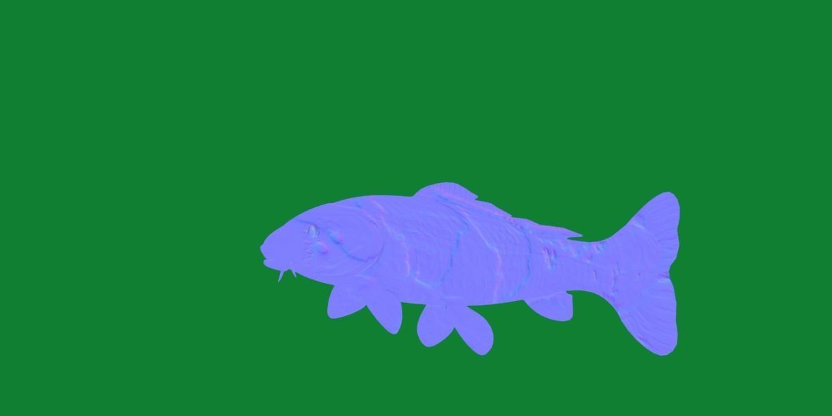 Nishikigoi Koi Fish Low-poly 3D model_21