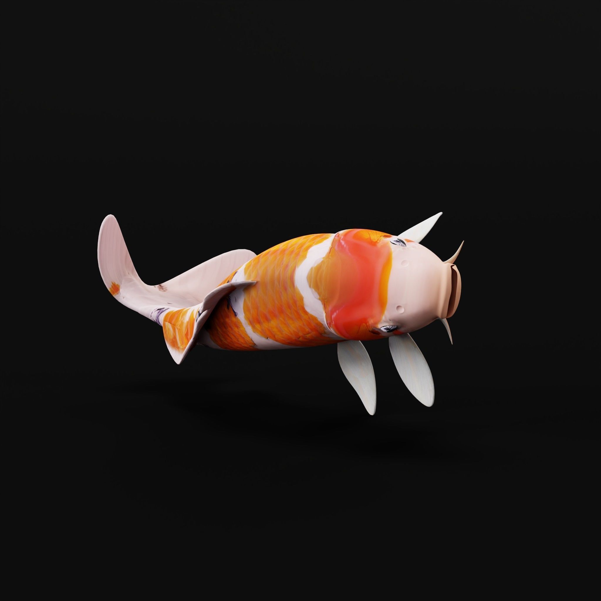 Nishikigoi Koi Fish Low-poly 3D model_15