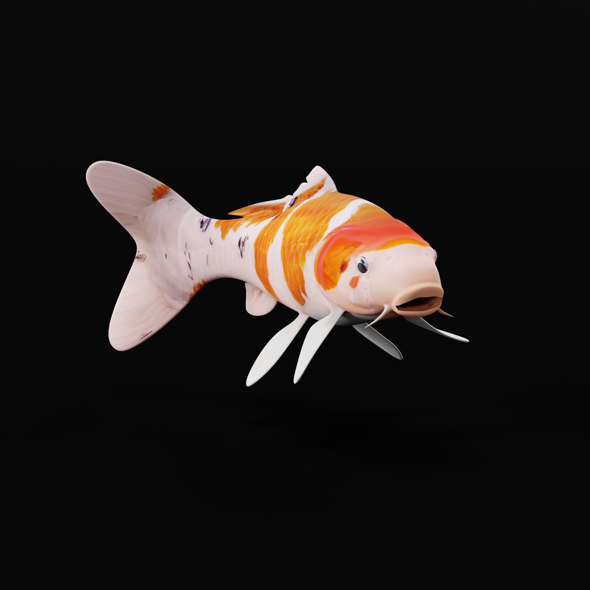 Nishikigoi Koi Fish Low-poly 3D model_9