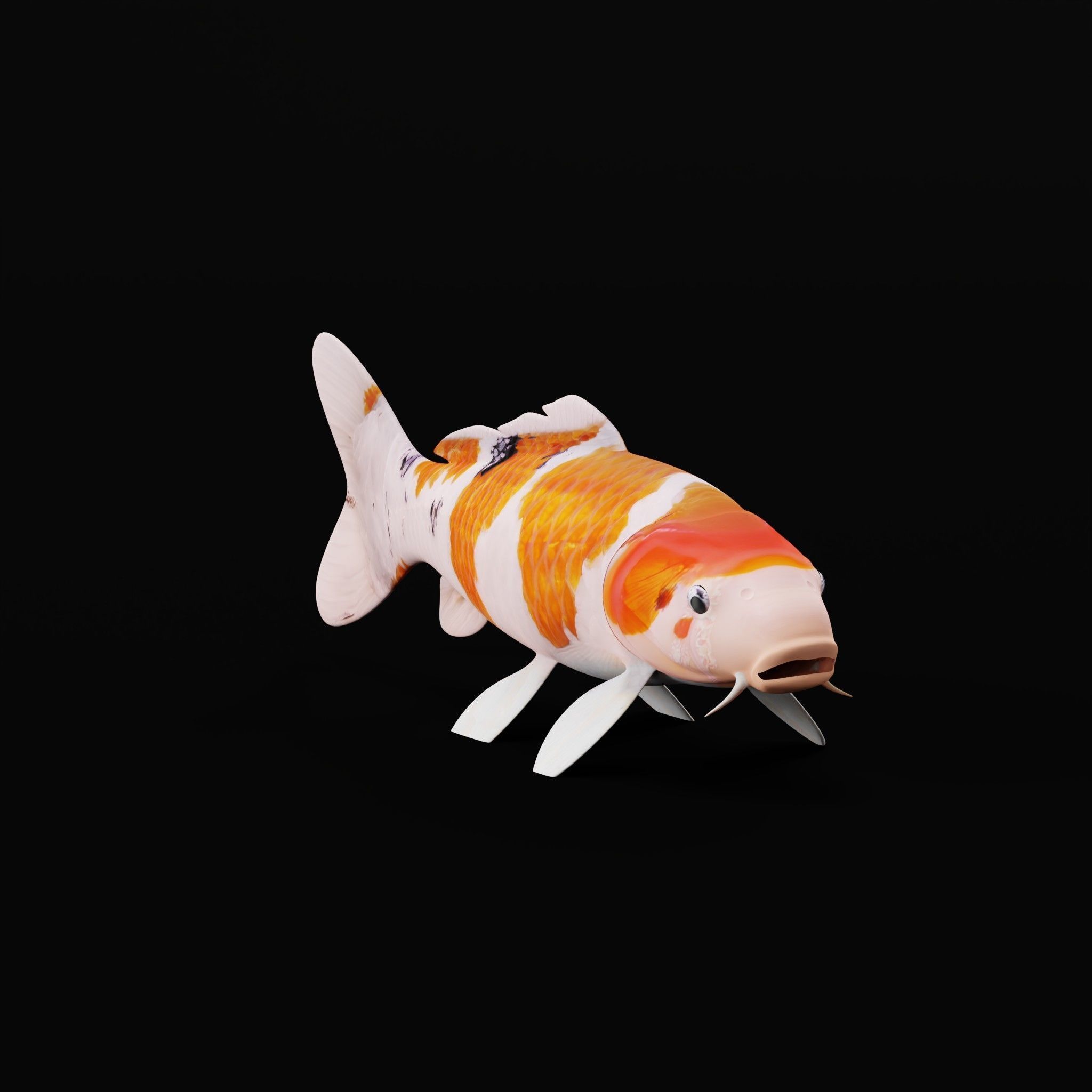Nishikigoi Koi Fish Low-poly 3D model_18