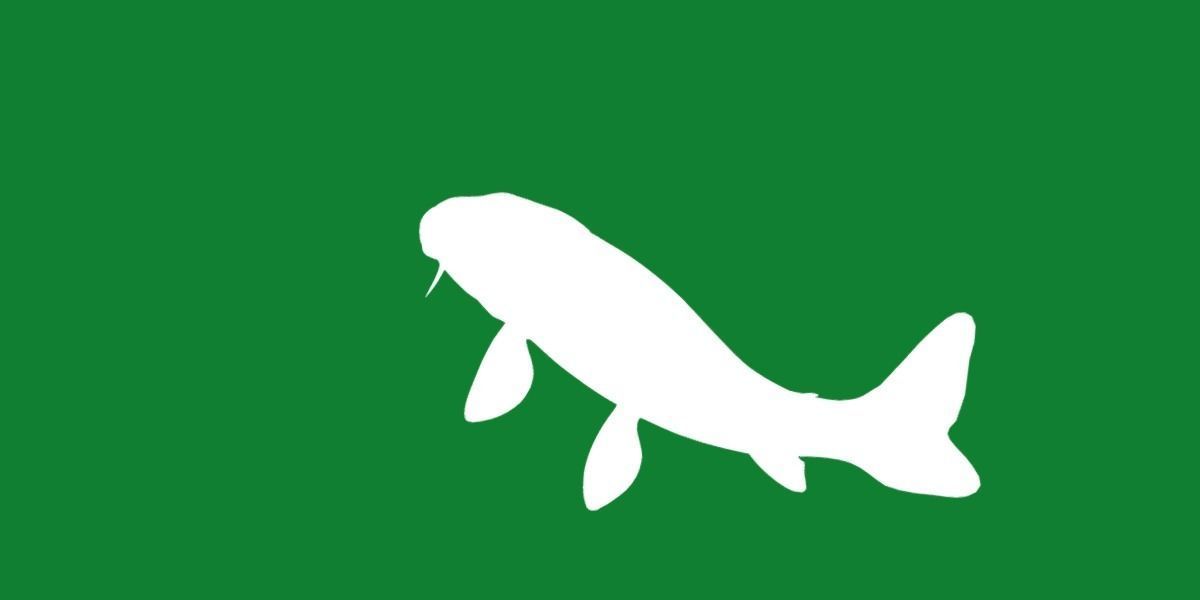 Nishikigoi Koi Fish Low-poly 3D model_39