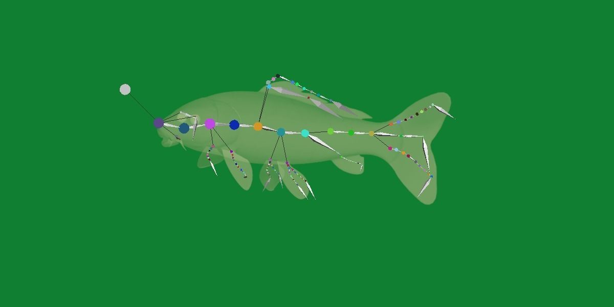 Nishikigoi Koi Fish Low-poly 3D model_34