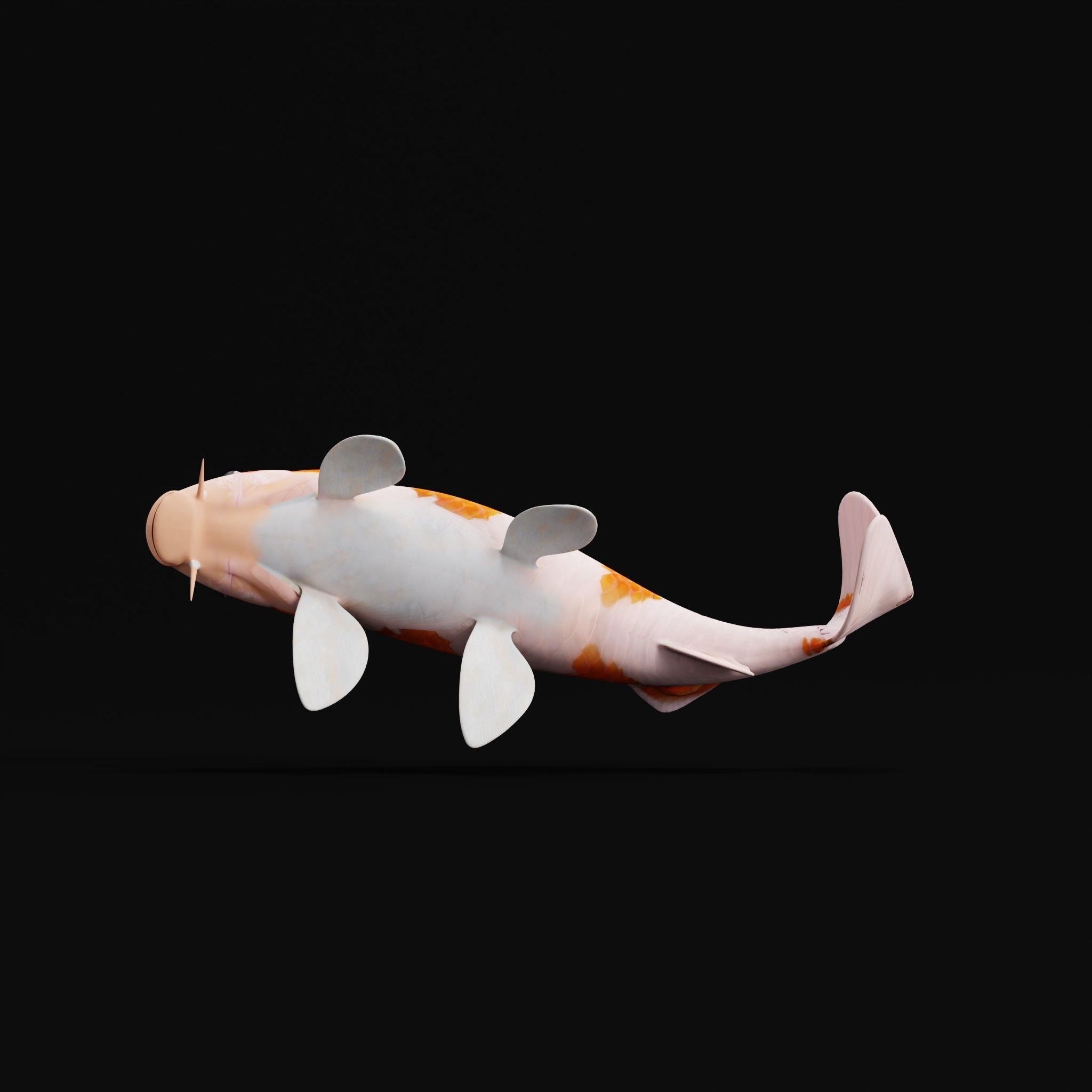 Nishikigoi Koi Fish Low-poly 3D model_16