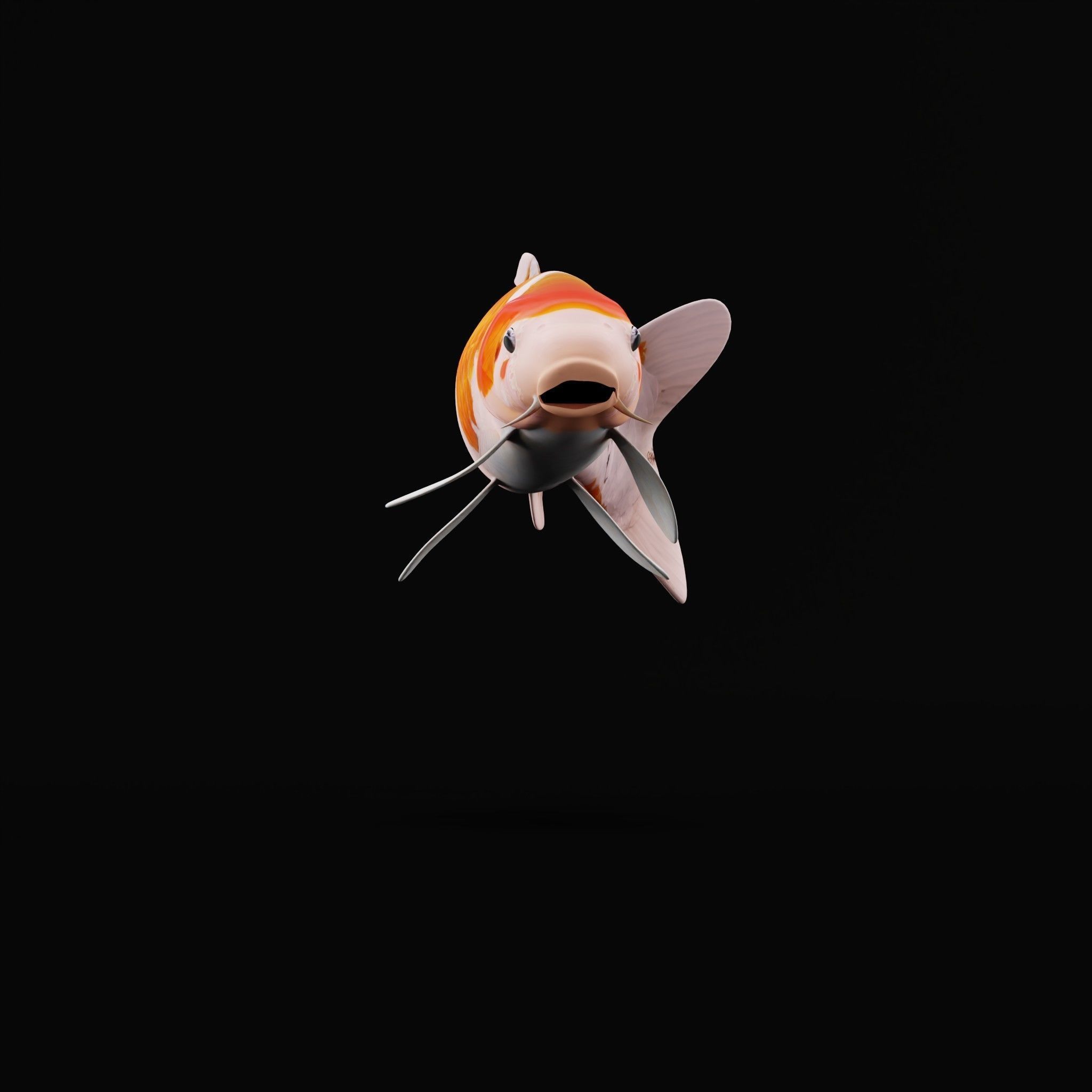 Nishikigoi Koi Fish Low-poly 3D model_11