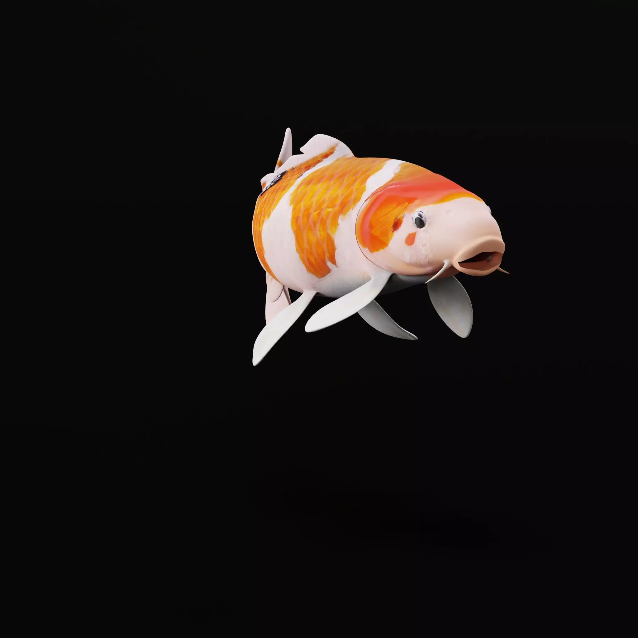Nishikigoi Koi Fish Low-poly 3D model_8