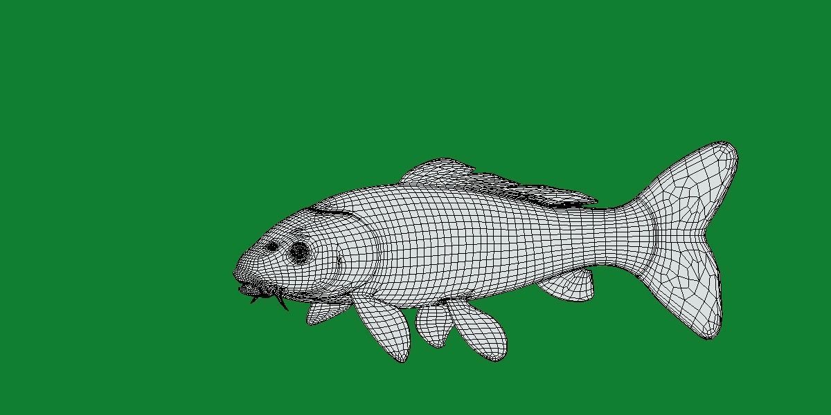 Nishikigoi Koi Fish Low-poly 3D model_26