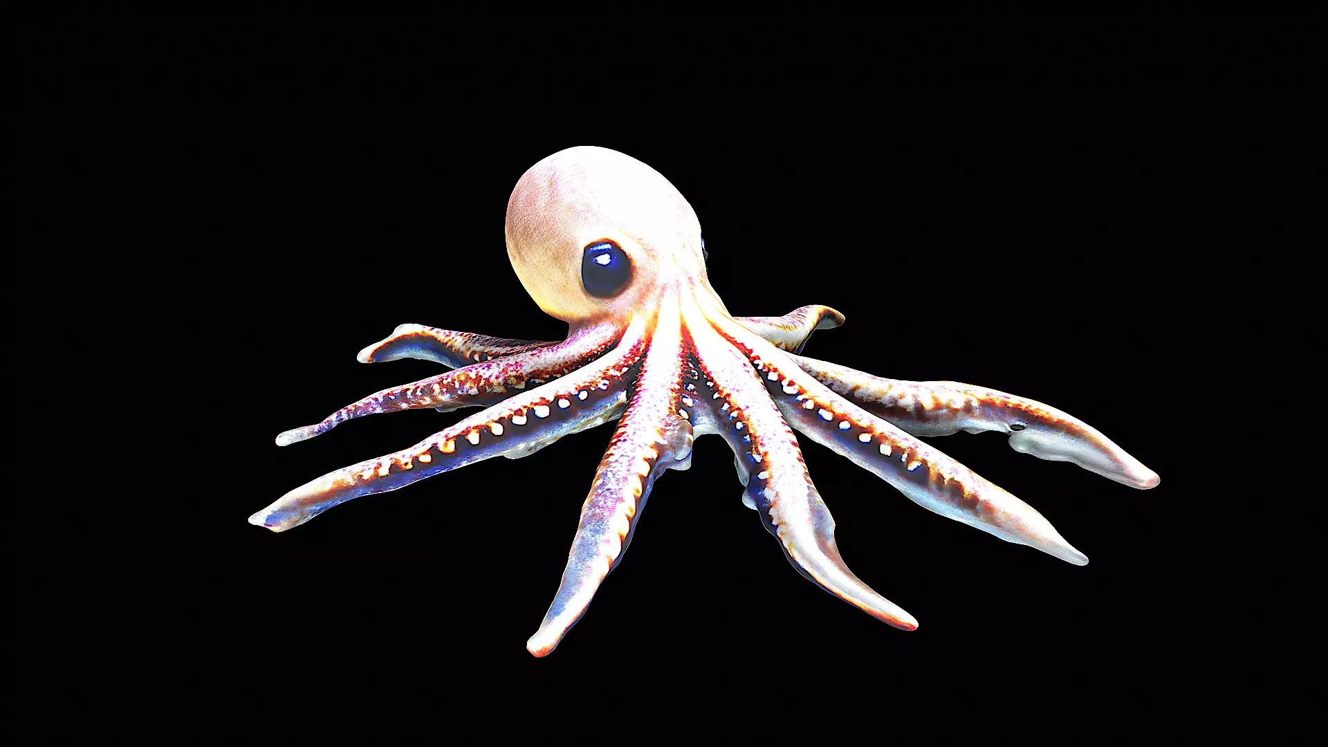 Cute little Octopus 3D model_0