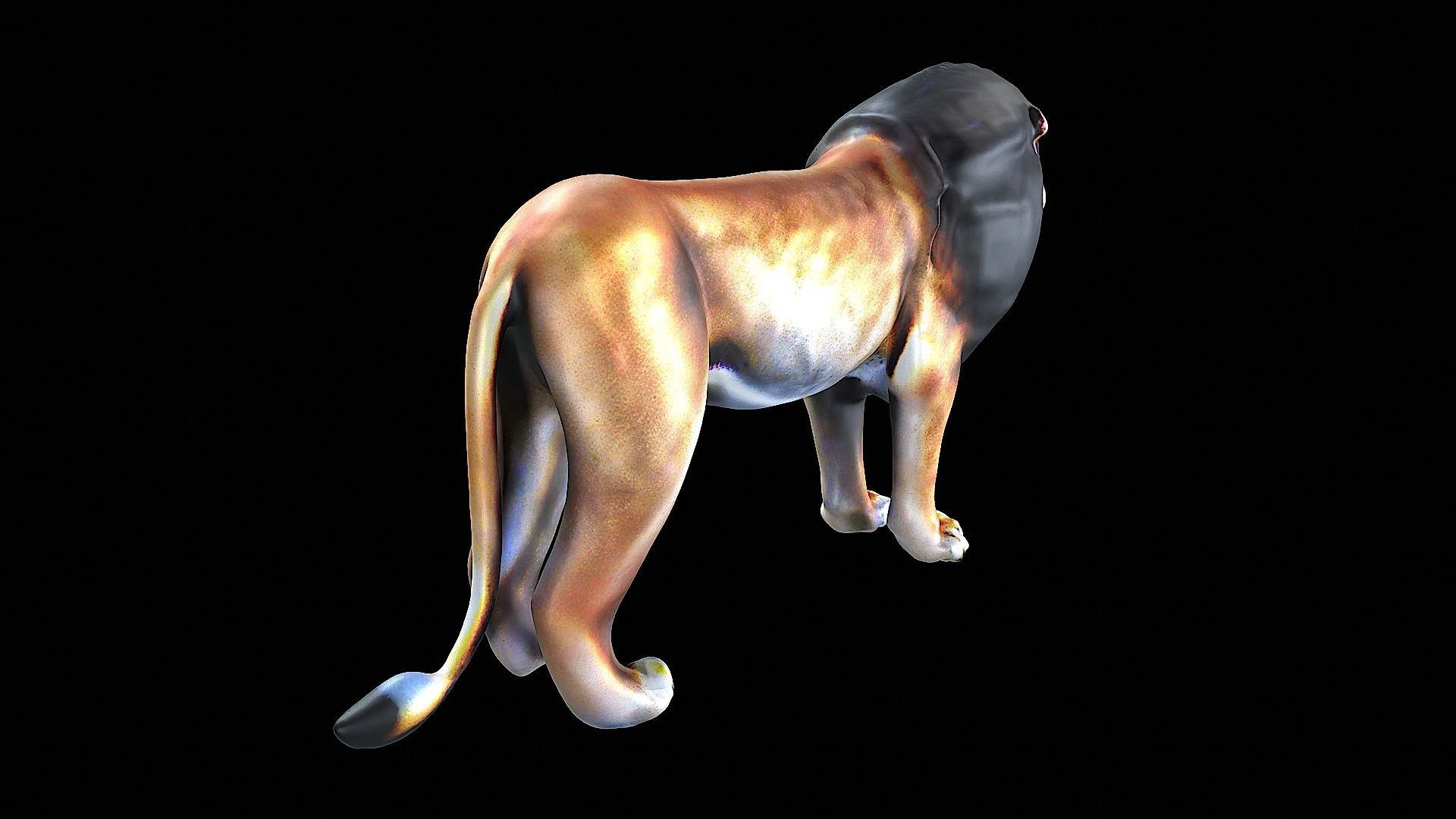 Lion Cartoon 3D model_4