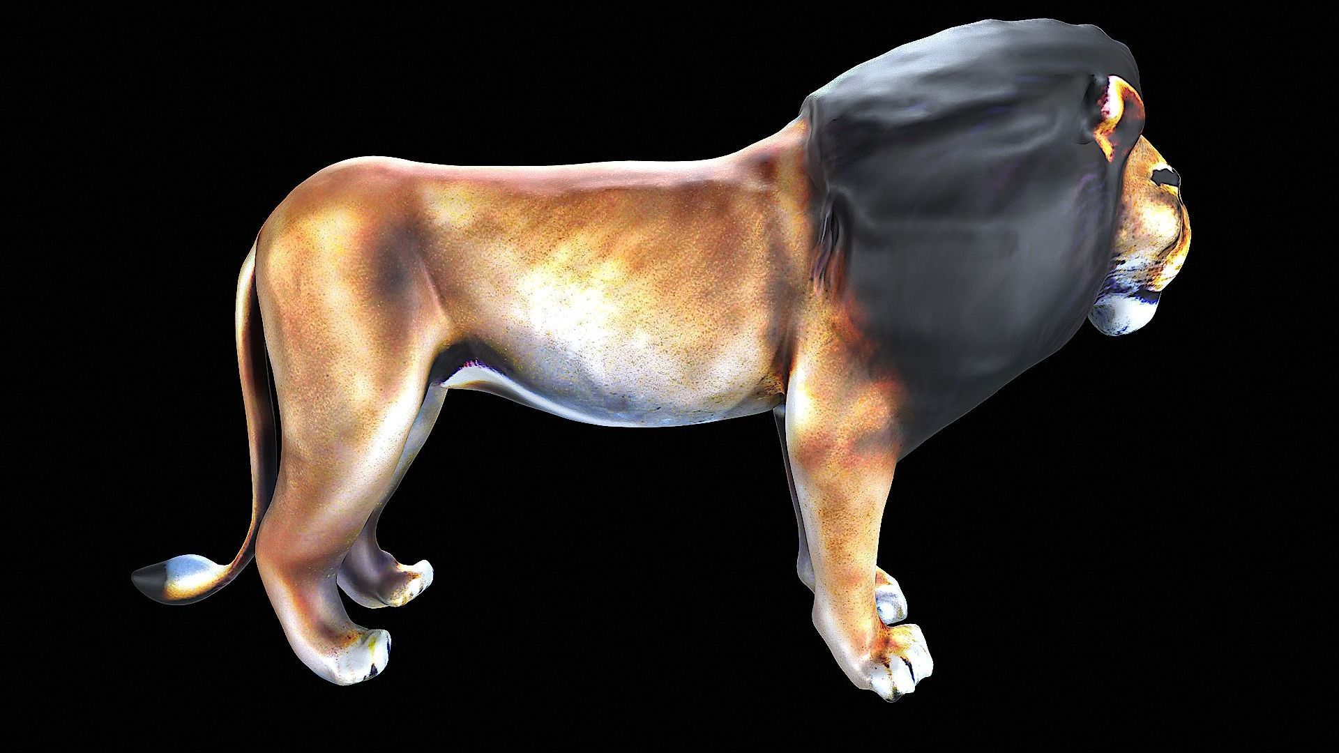 Lion Cartoon 3D model_3