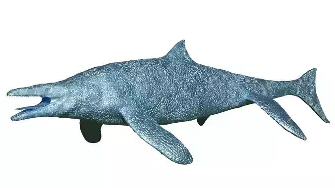 New Mosasaur - Megapterygius wakayamaensis 3D STL 3D print model