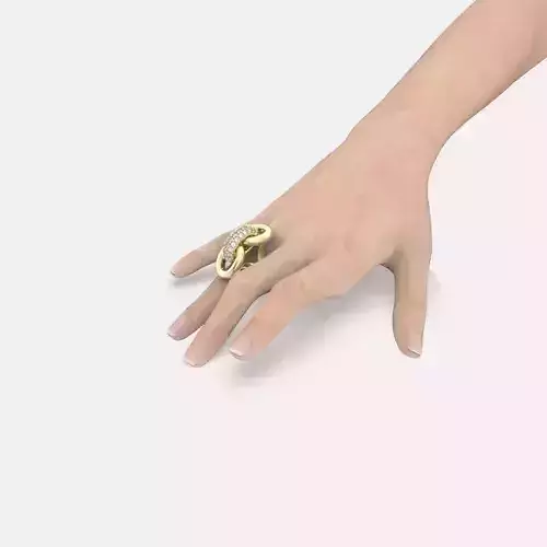 R 068 Ring like Chain