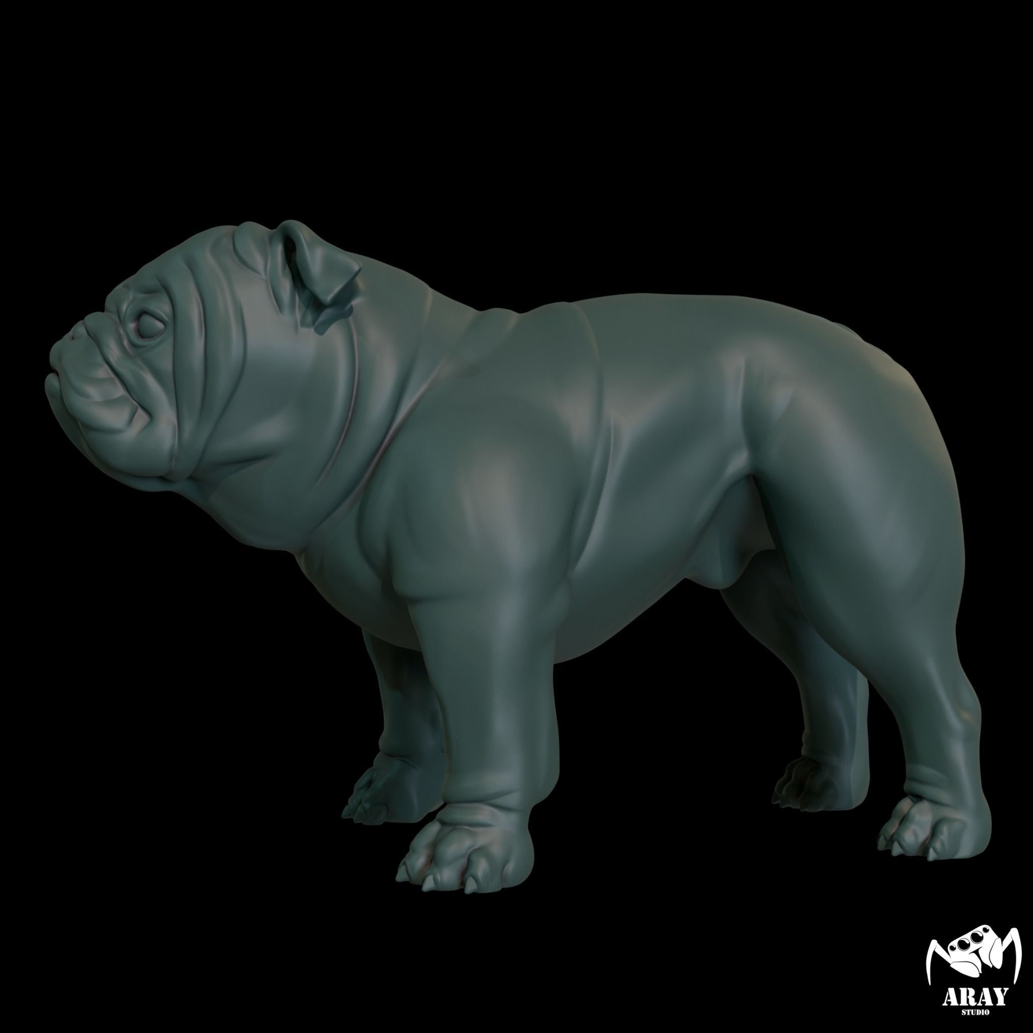 English Bulldog stand pose 3D print model_3