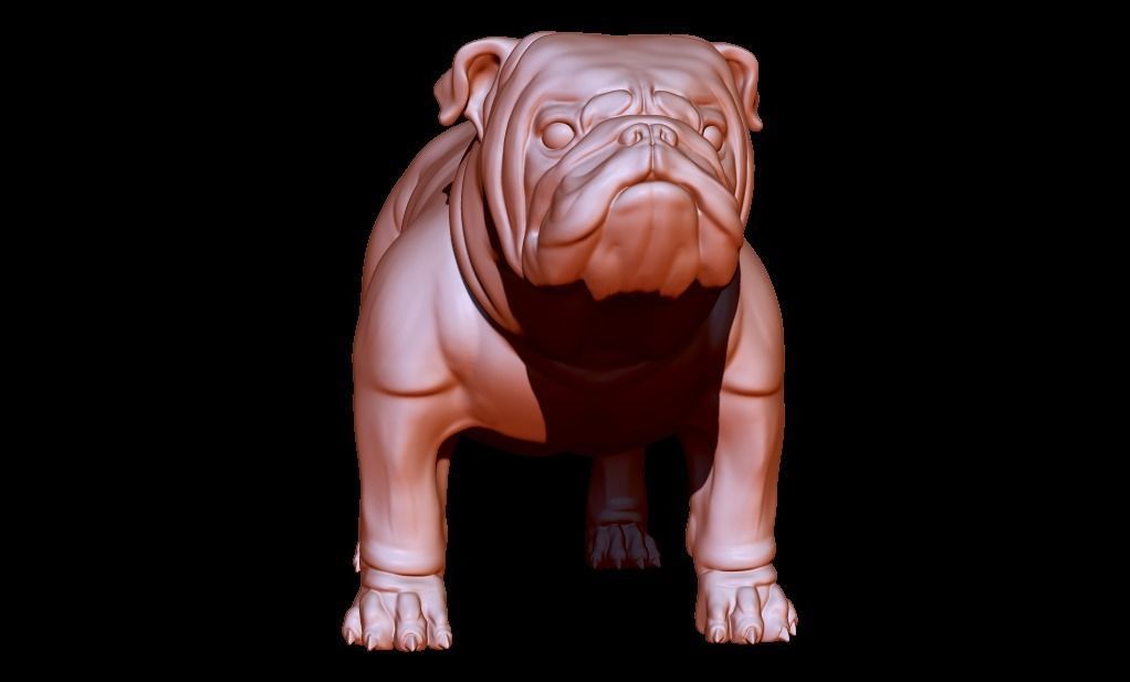 English Bulldog stand pose 3D print model_6