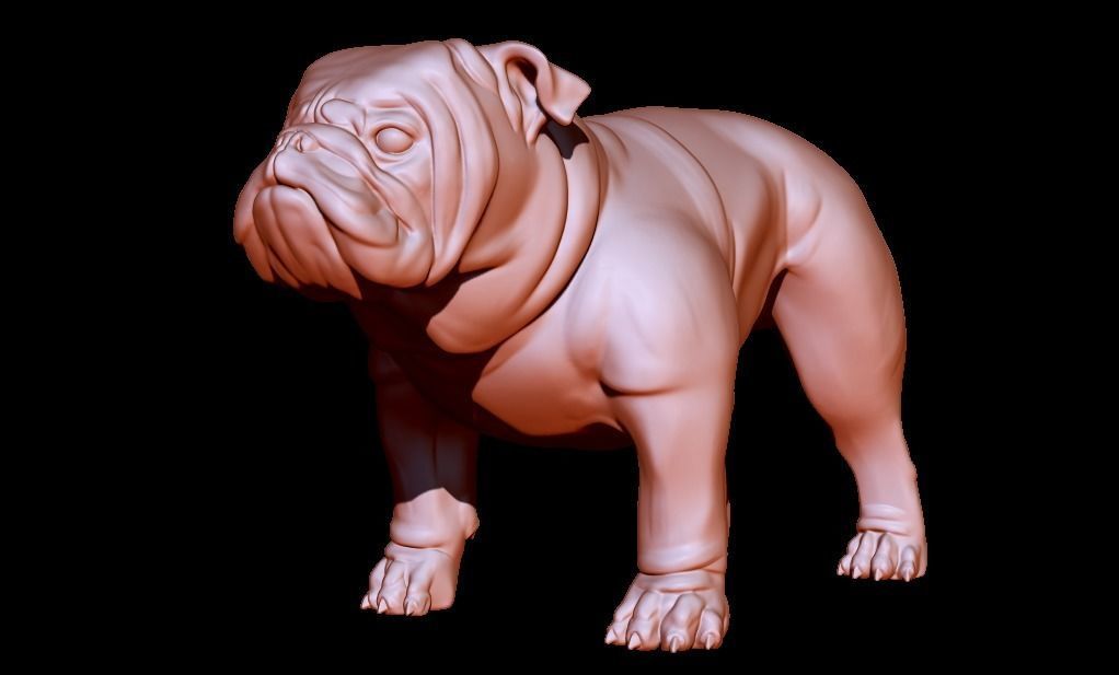 English Bulldog stand pose 3D print model_5
