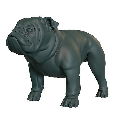 English Bulldog stand pose 3D print model