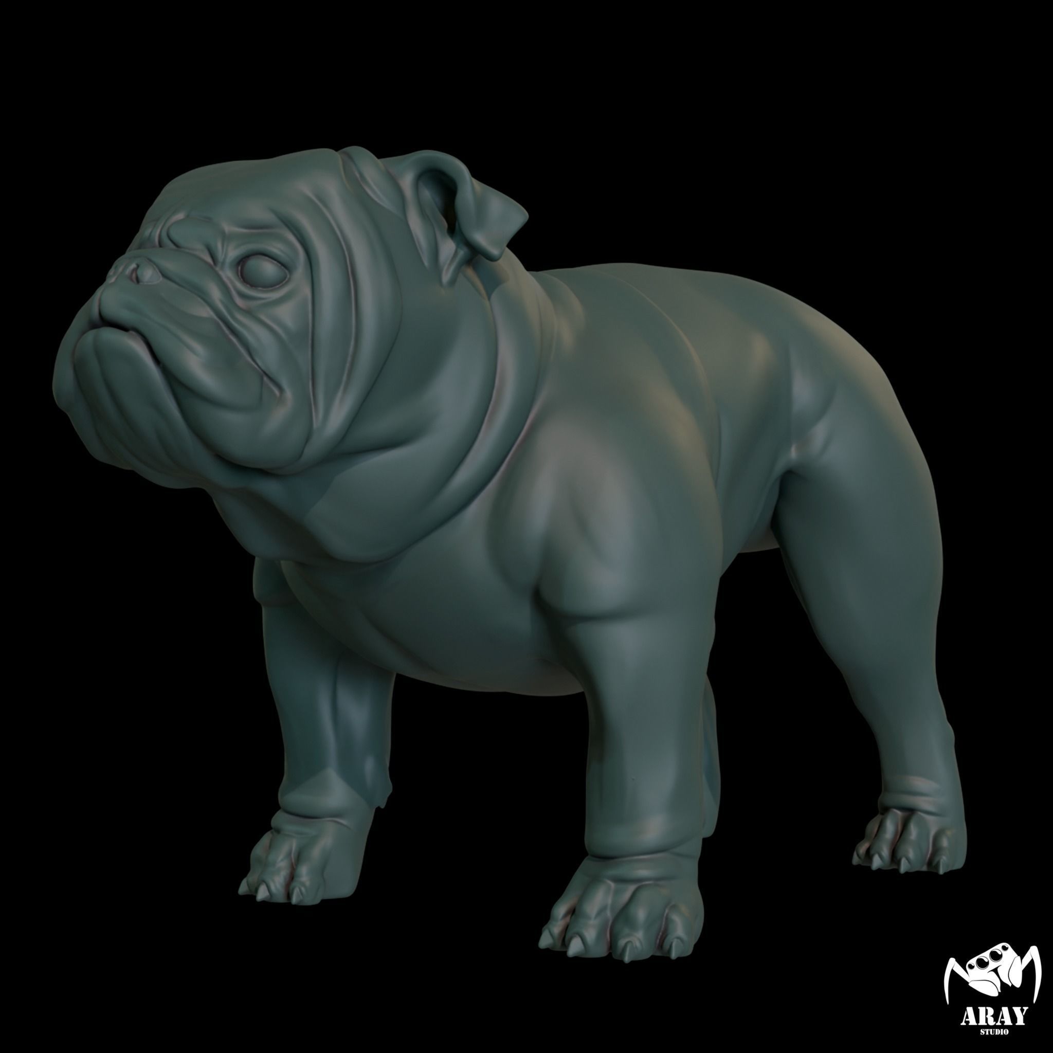 English Bulldog stand pose 3D print model_2