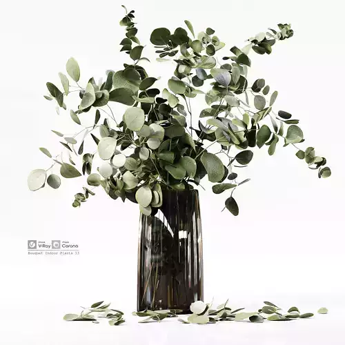 Bouquet Indoor Plants 13