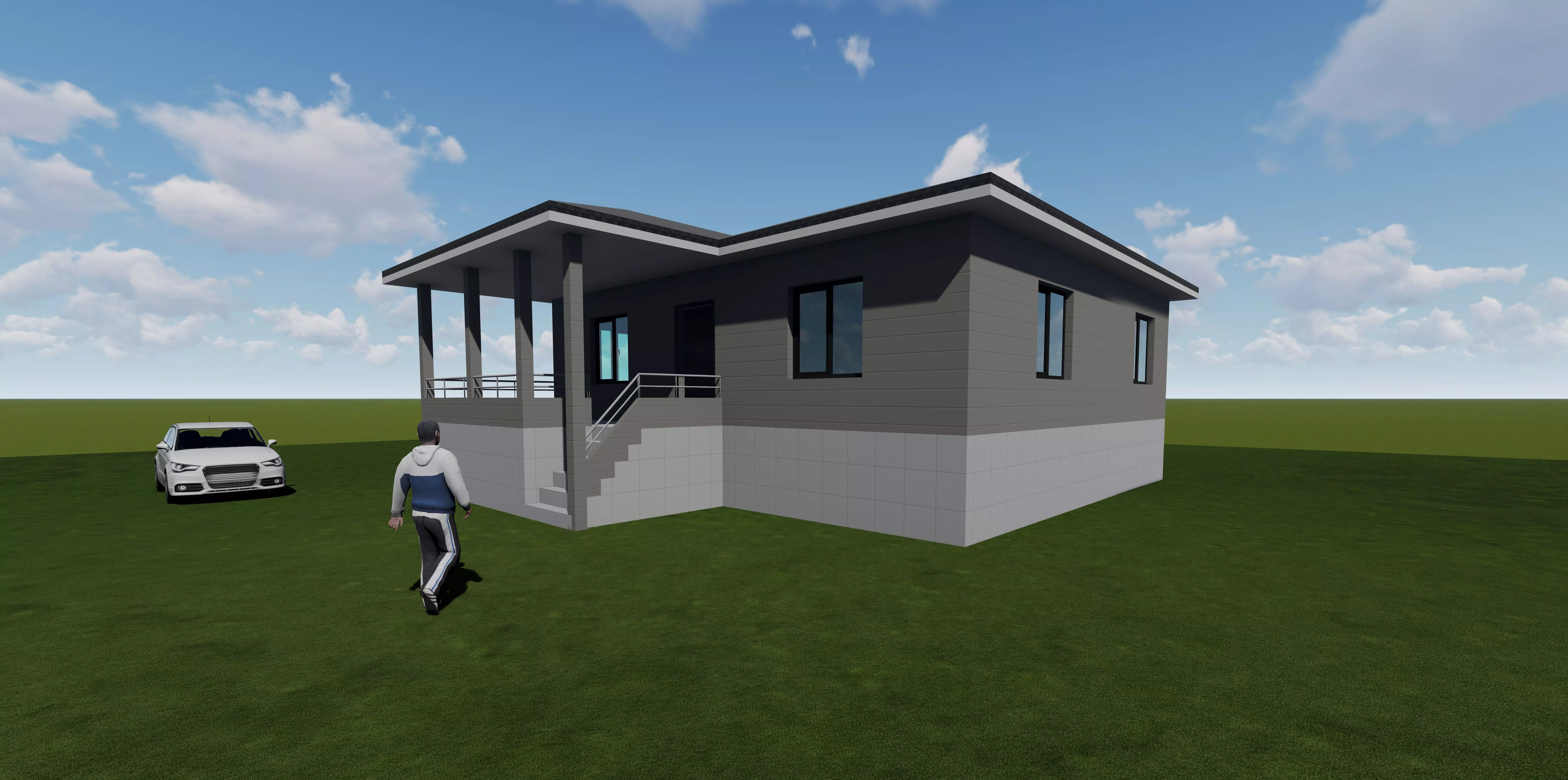 Village House Revit 3D model_0