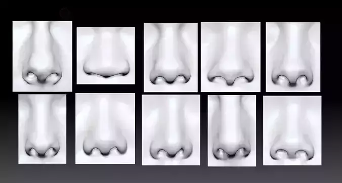 Male and Female Nose Bundles