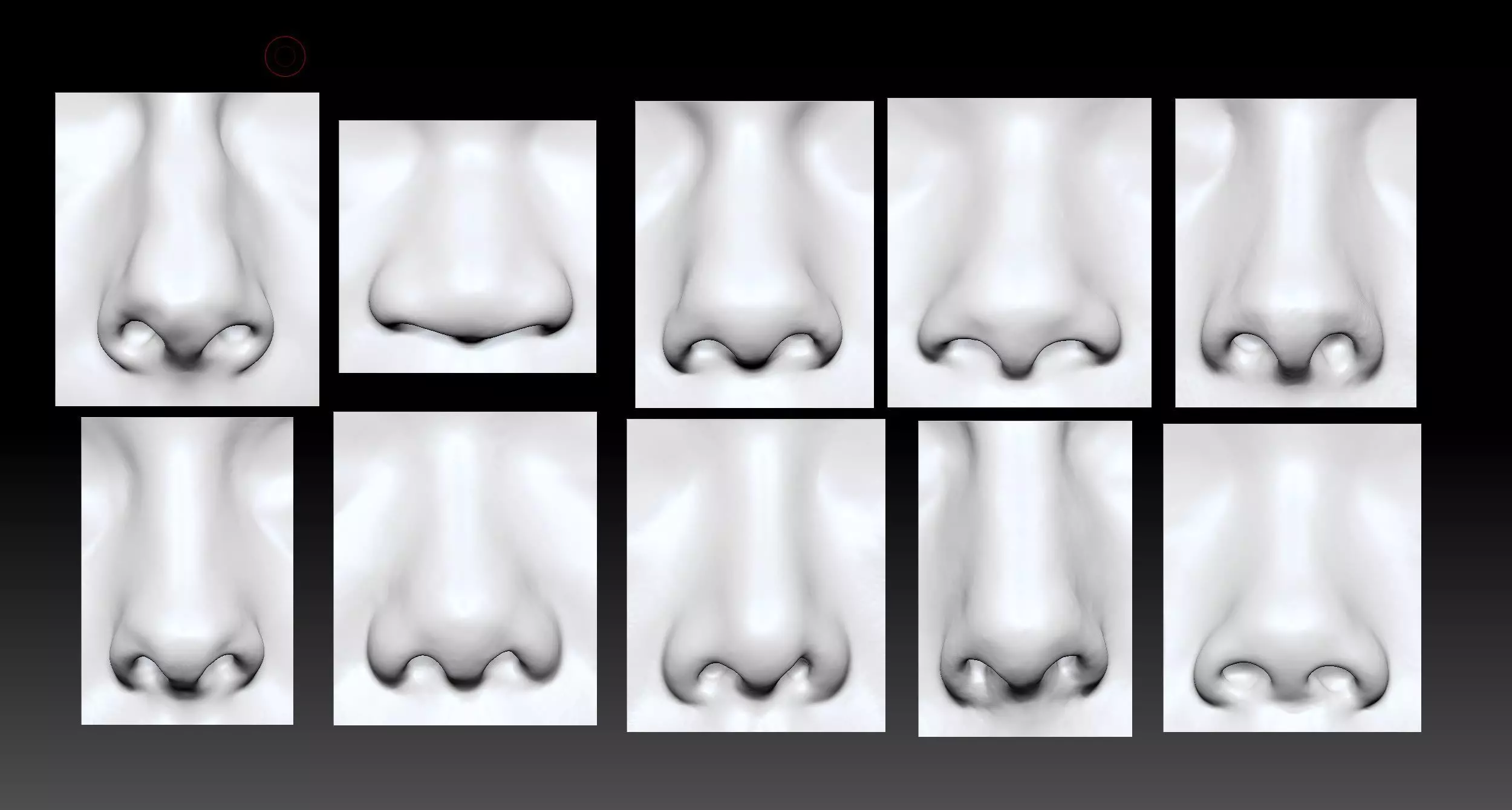 Male and Female Nose Bundles 3D model