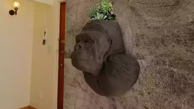 GORILLA MOUTH CLOSED WALL MOUNT PLANTER POT FLOWER VASE 