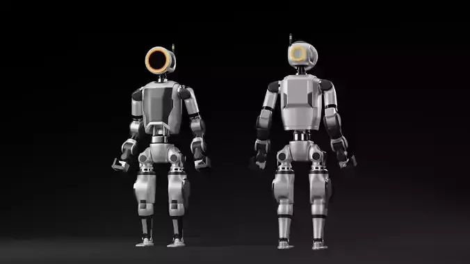 Atlas 3D model