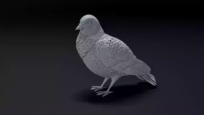 dove bird 3D print model