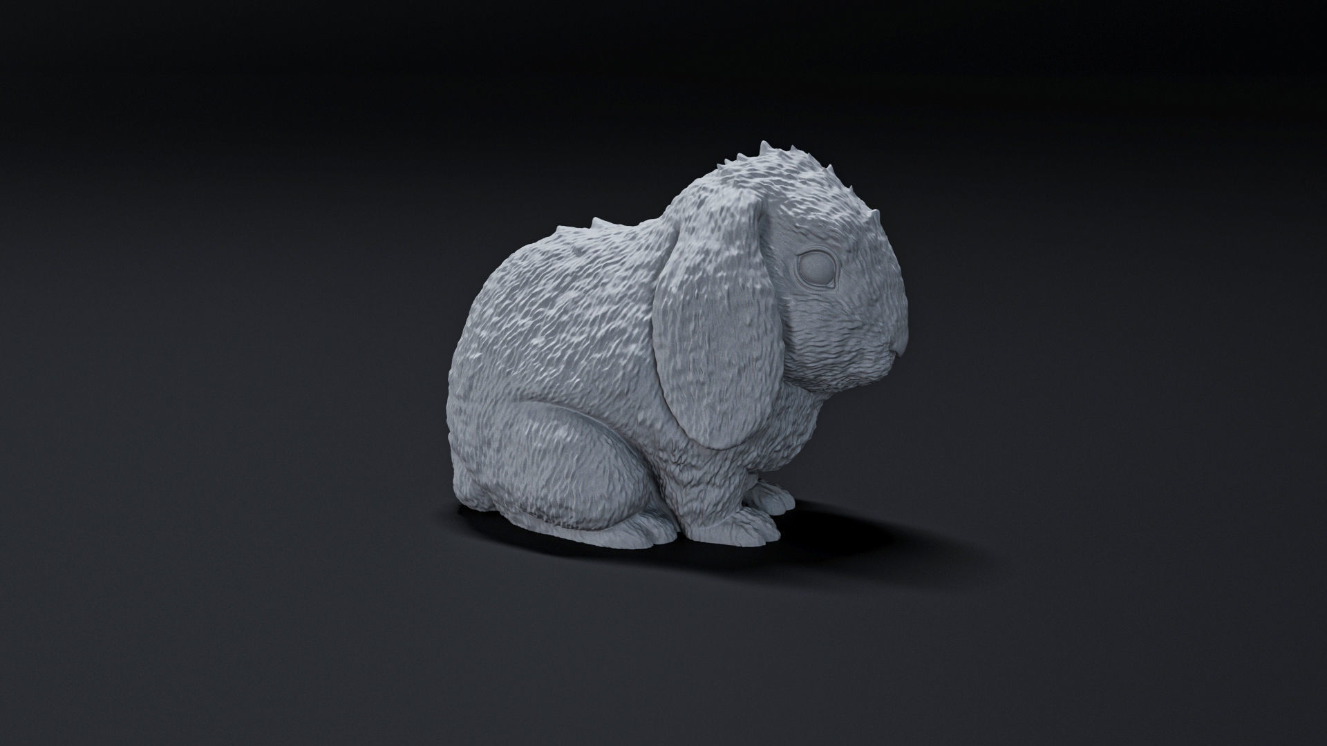 rabbit 3D print model_1