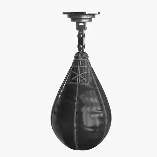 Boxing Punching Speed Bag v1