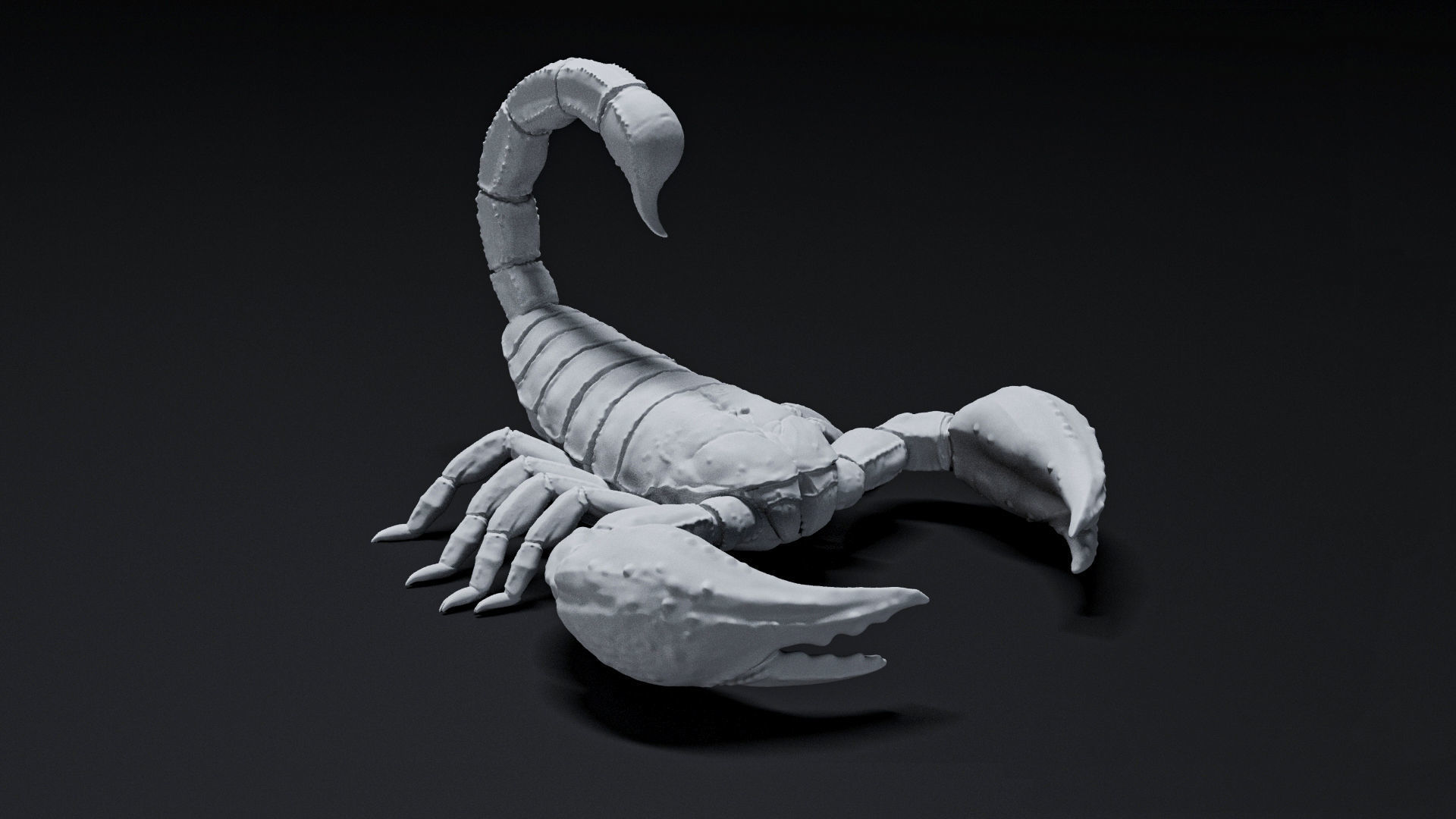 scorpion 3D print model_1