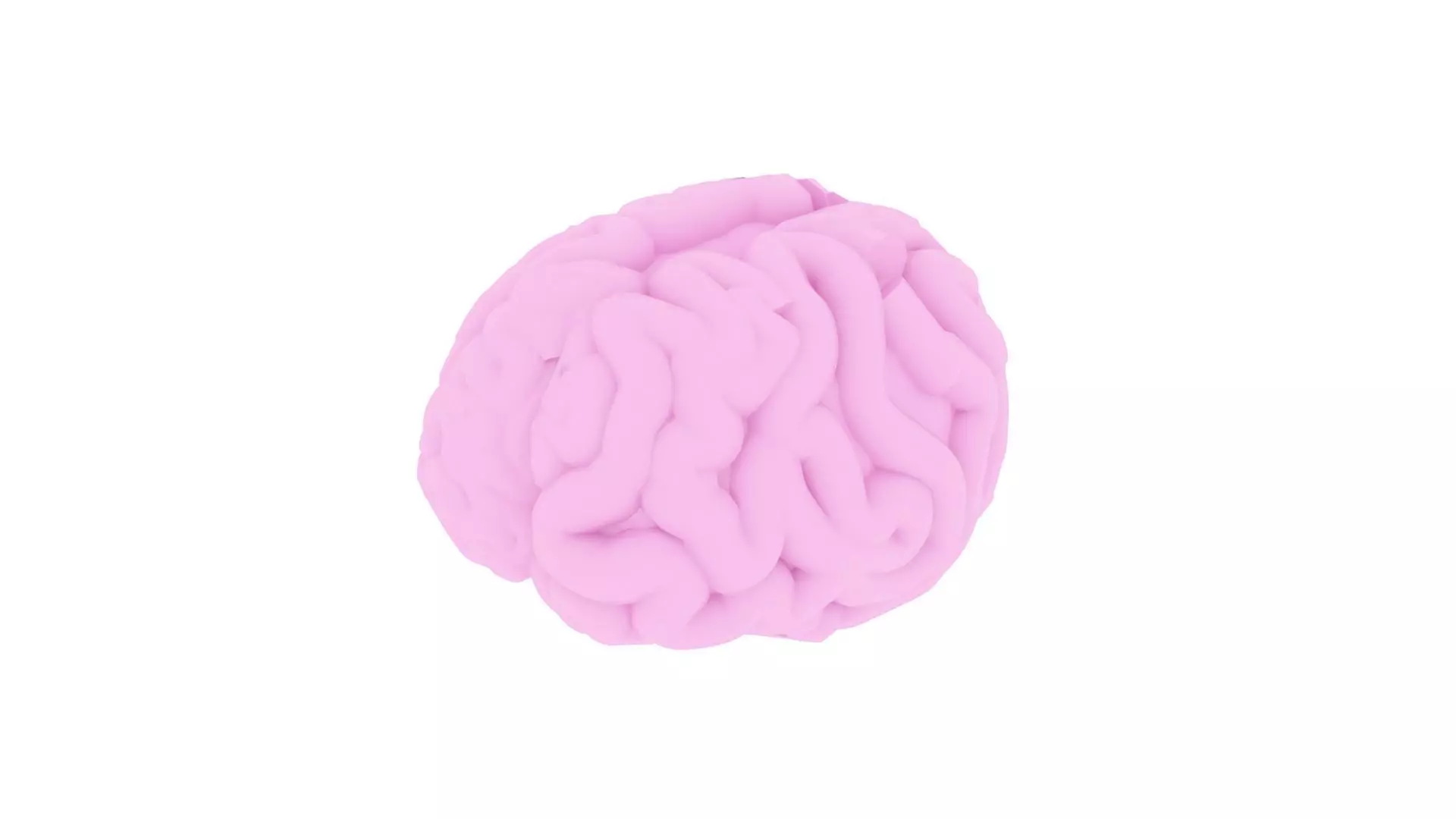 Human Brain 3D model