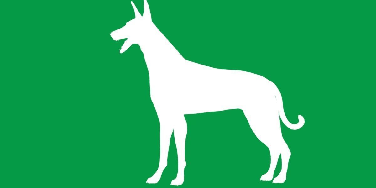 Ibizan Hound Dig 3D model_21