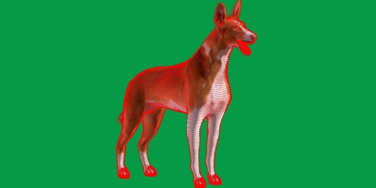 Ibizan Hound Dig 3D model_11