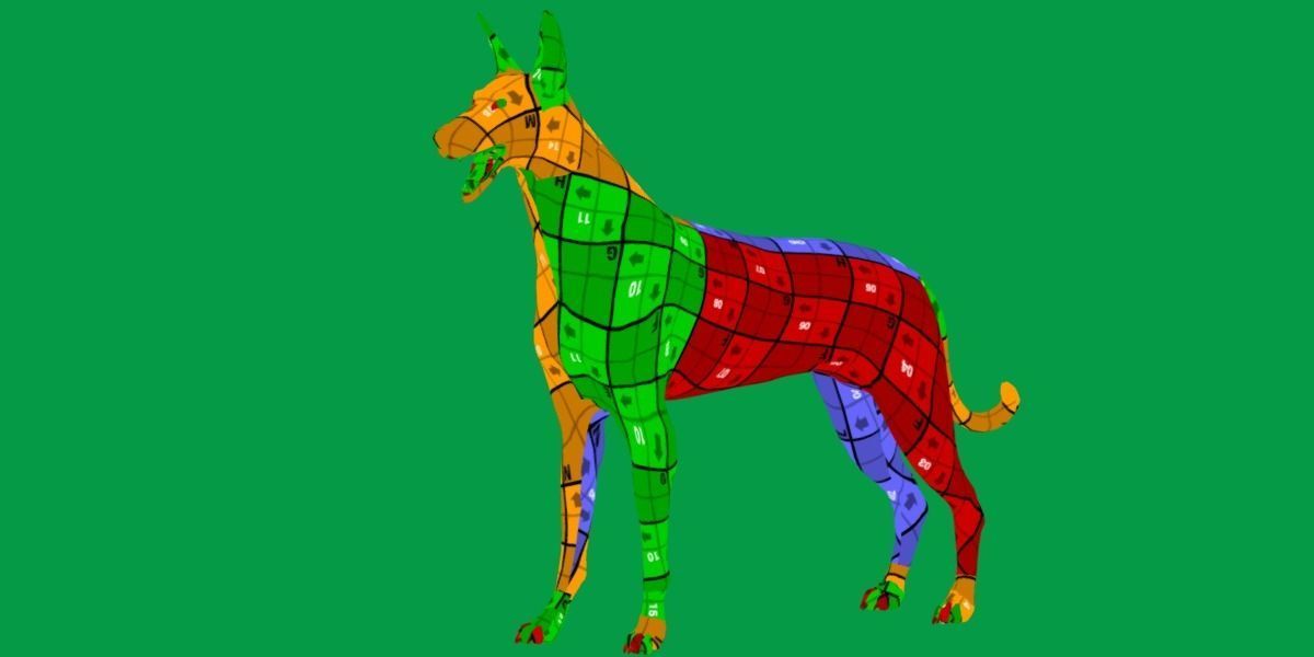 Ibizan Hound Dig 3D model_12