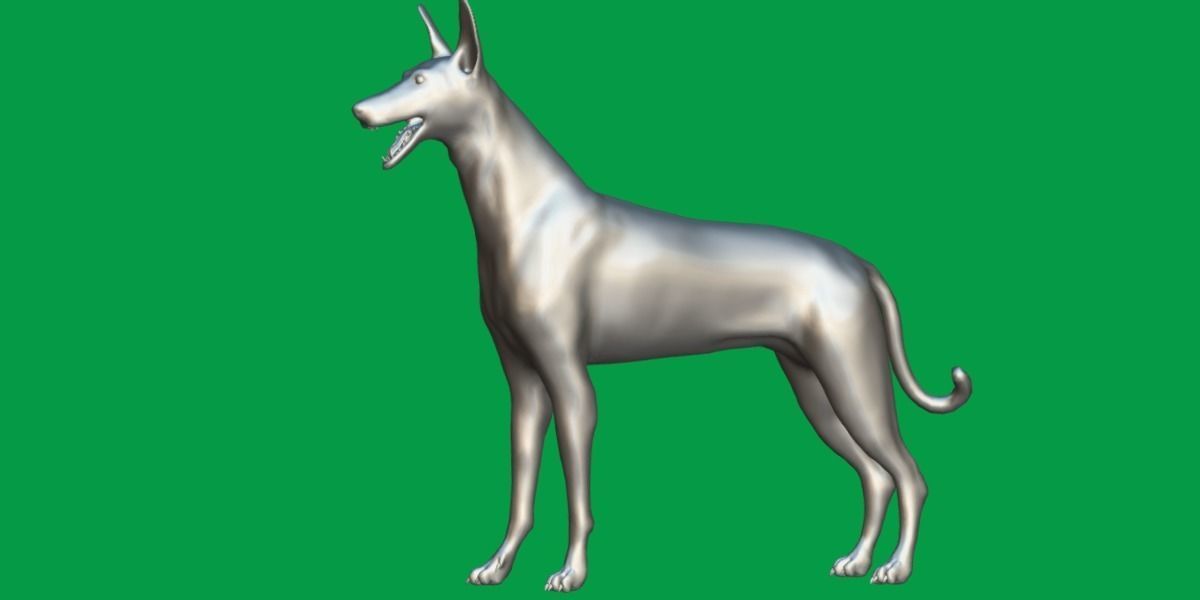 Ibizan Hound Dig 3D model_7