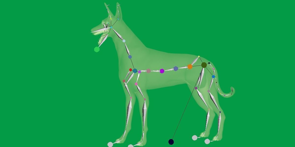 Ibizan Hound Dig 3D model_16