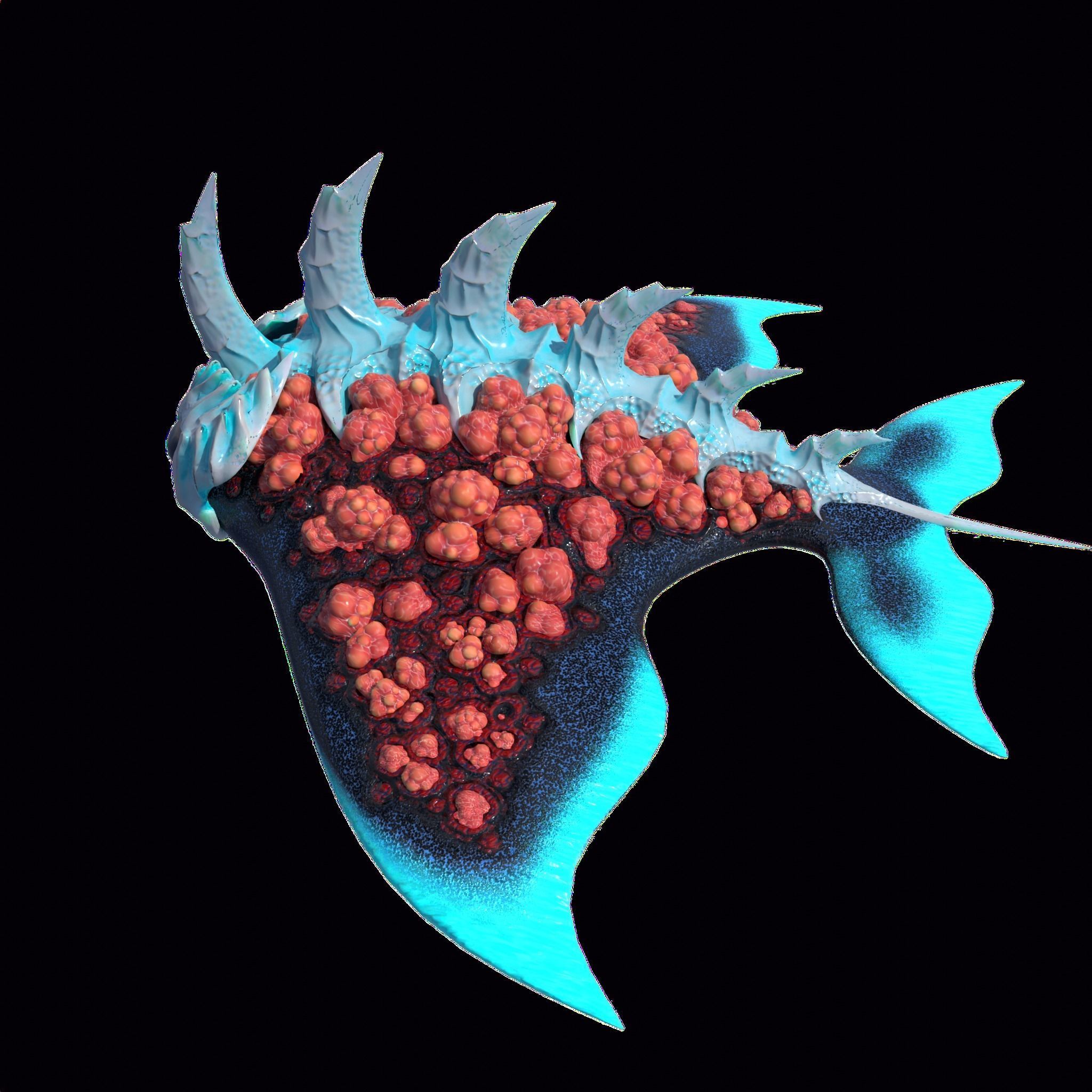 Stingray Low-poly 3D model_18