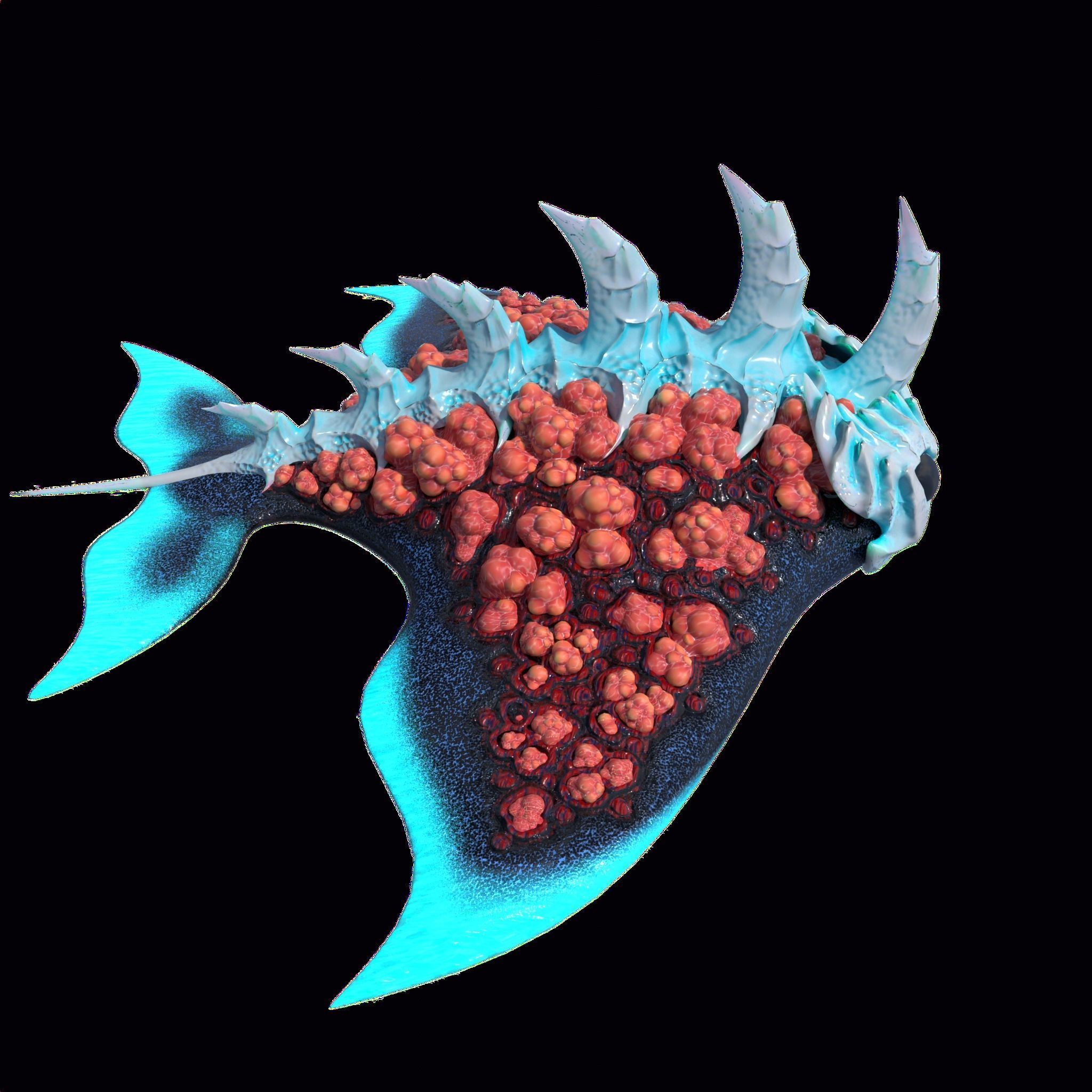 Stingray Low-poly 3D model_8
