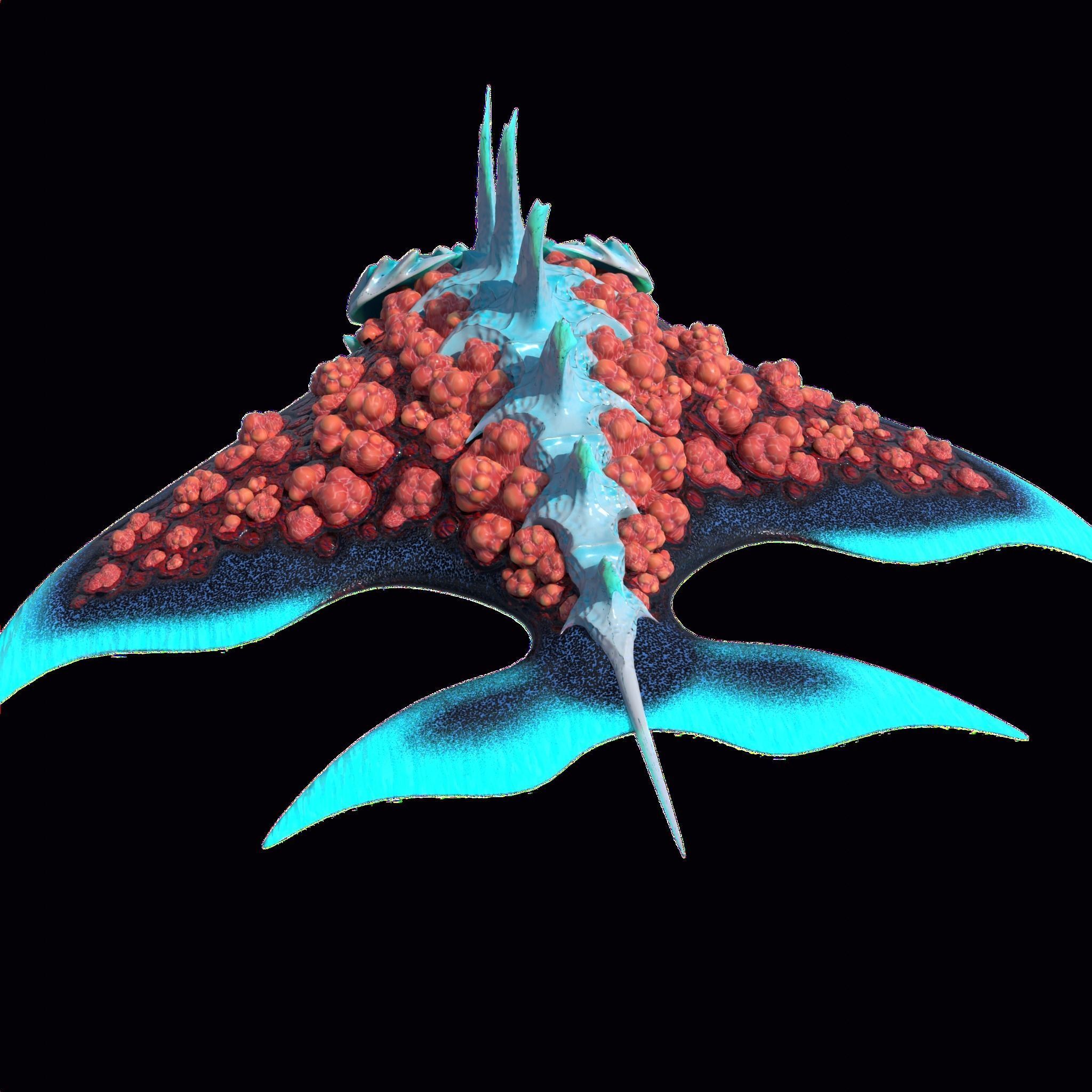 Stingray Low-poly 3D model_14