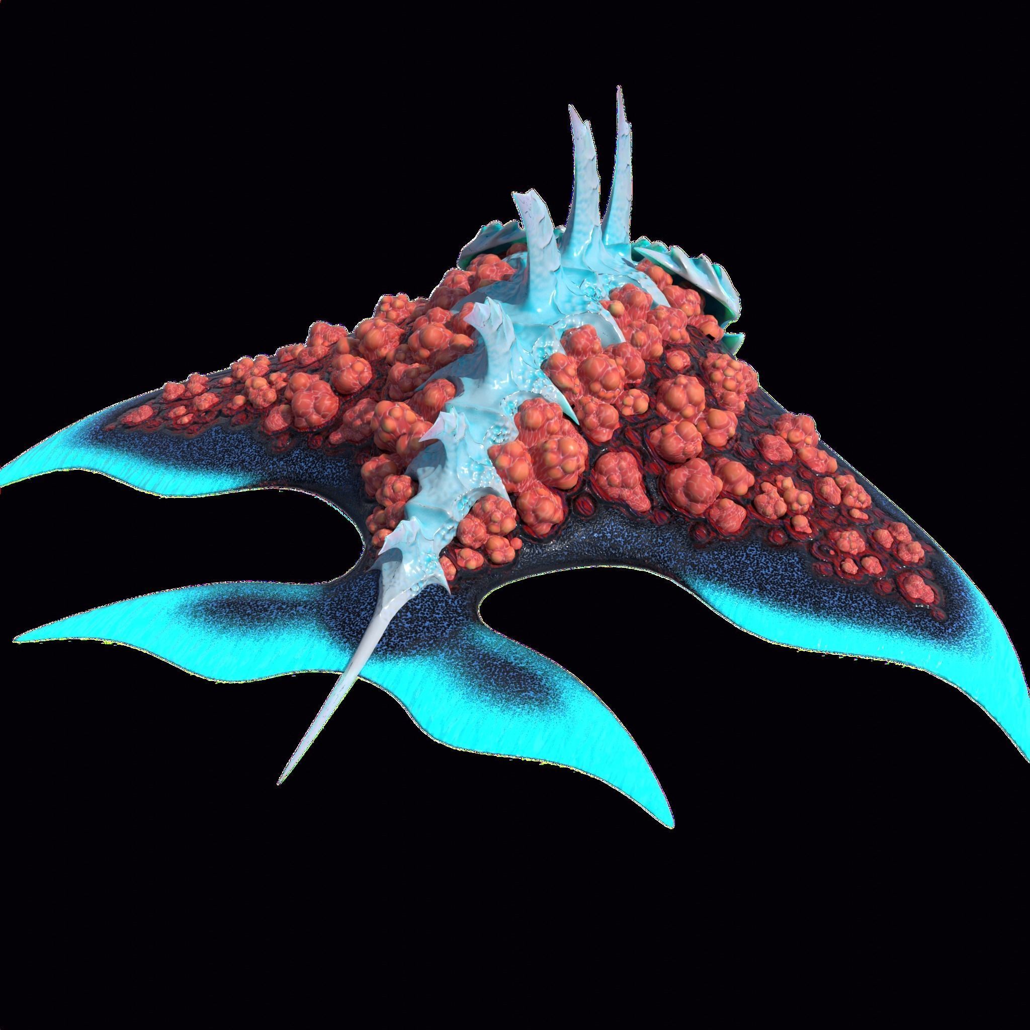 Stingray Low-poly 3D model_12