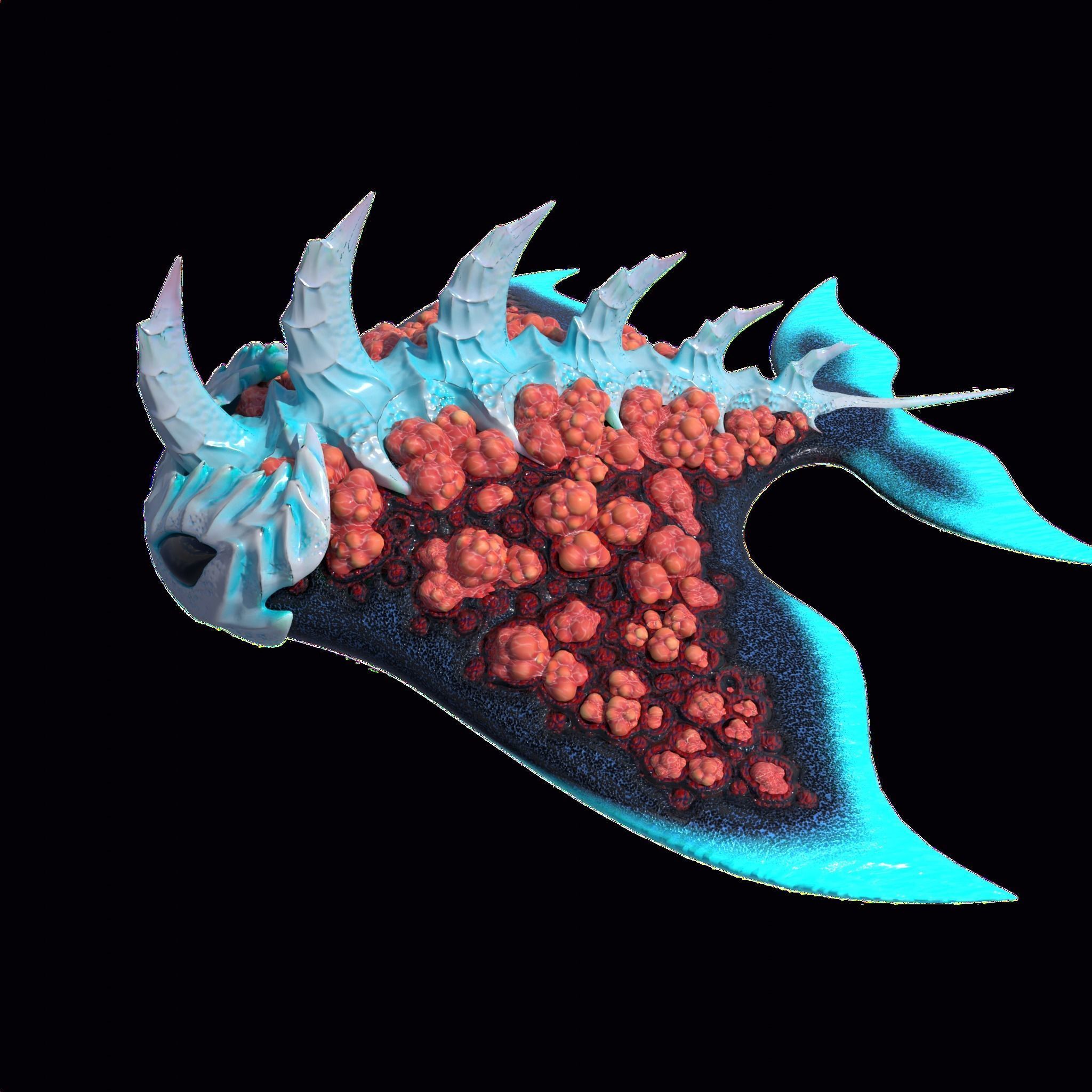 Stingray Low-poly 3D model_20