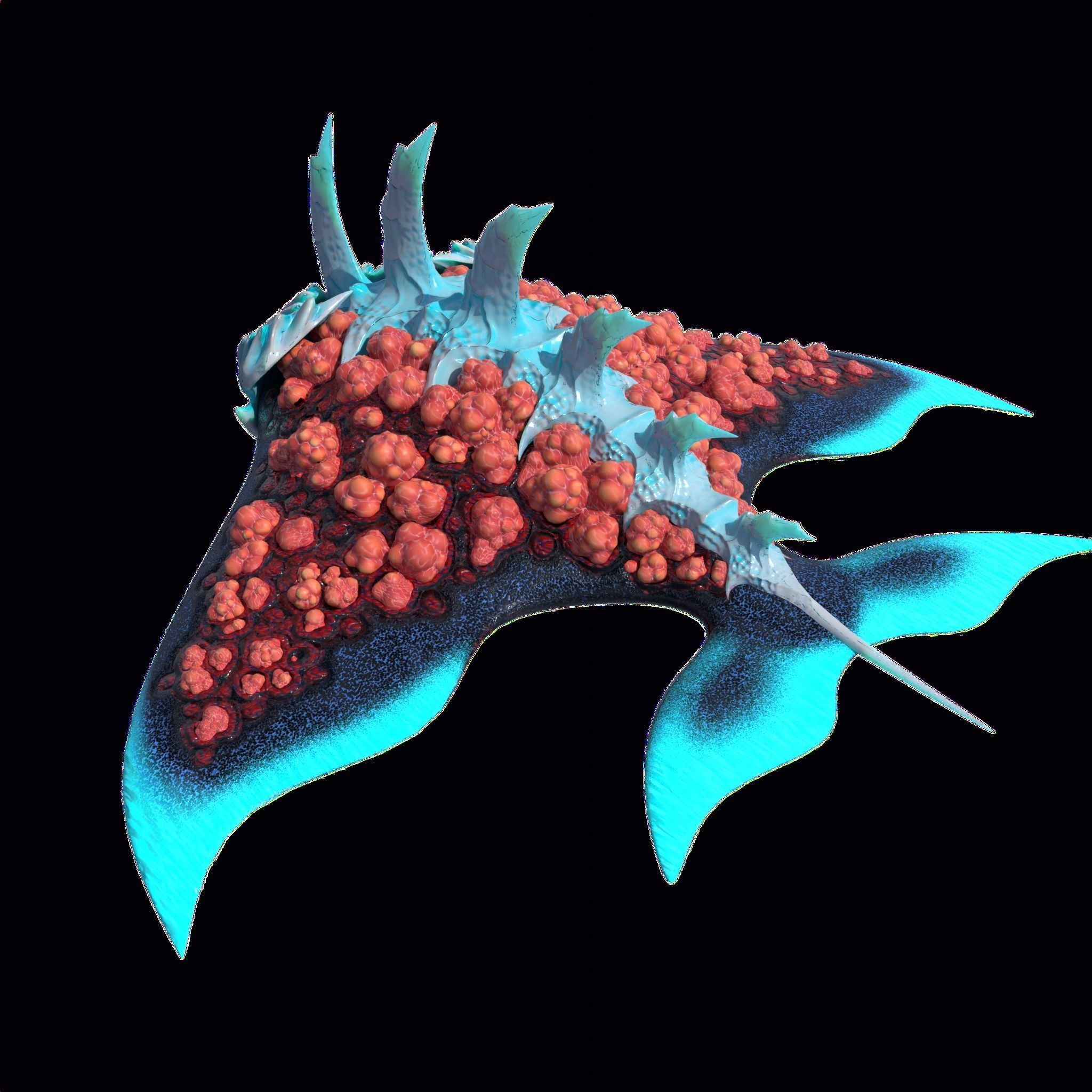 Stingray Low-poly 3D model_16