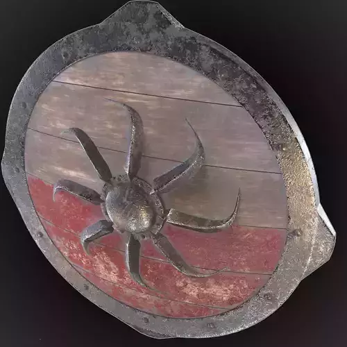 Viking shield