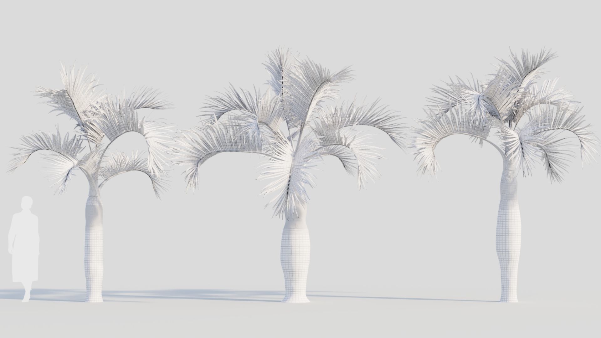 Hyophorbe lagenicaulis b 3D model_8