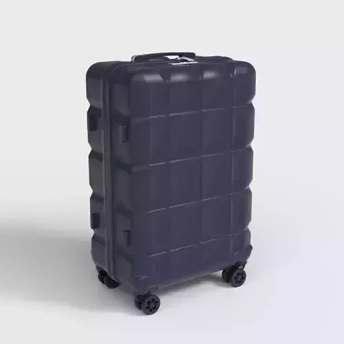 CABIN LUGGAGE