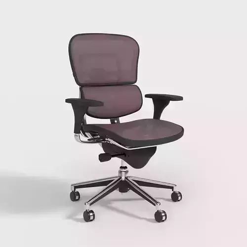 ERGOHUMAN OFFICE CHAIR