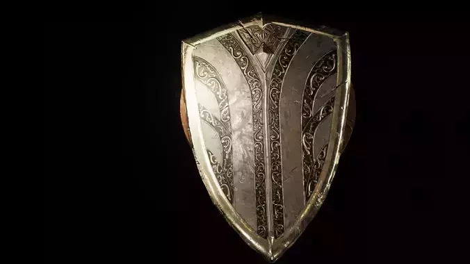 Paladin Shield