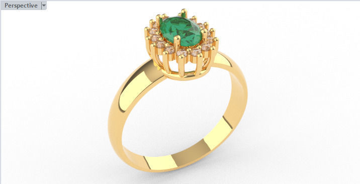 Digital Preciousness Custom-made ring in 3D modeling 3D print model_1