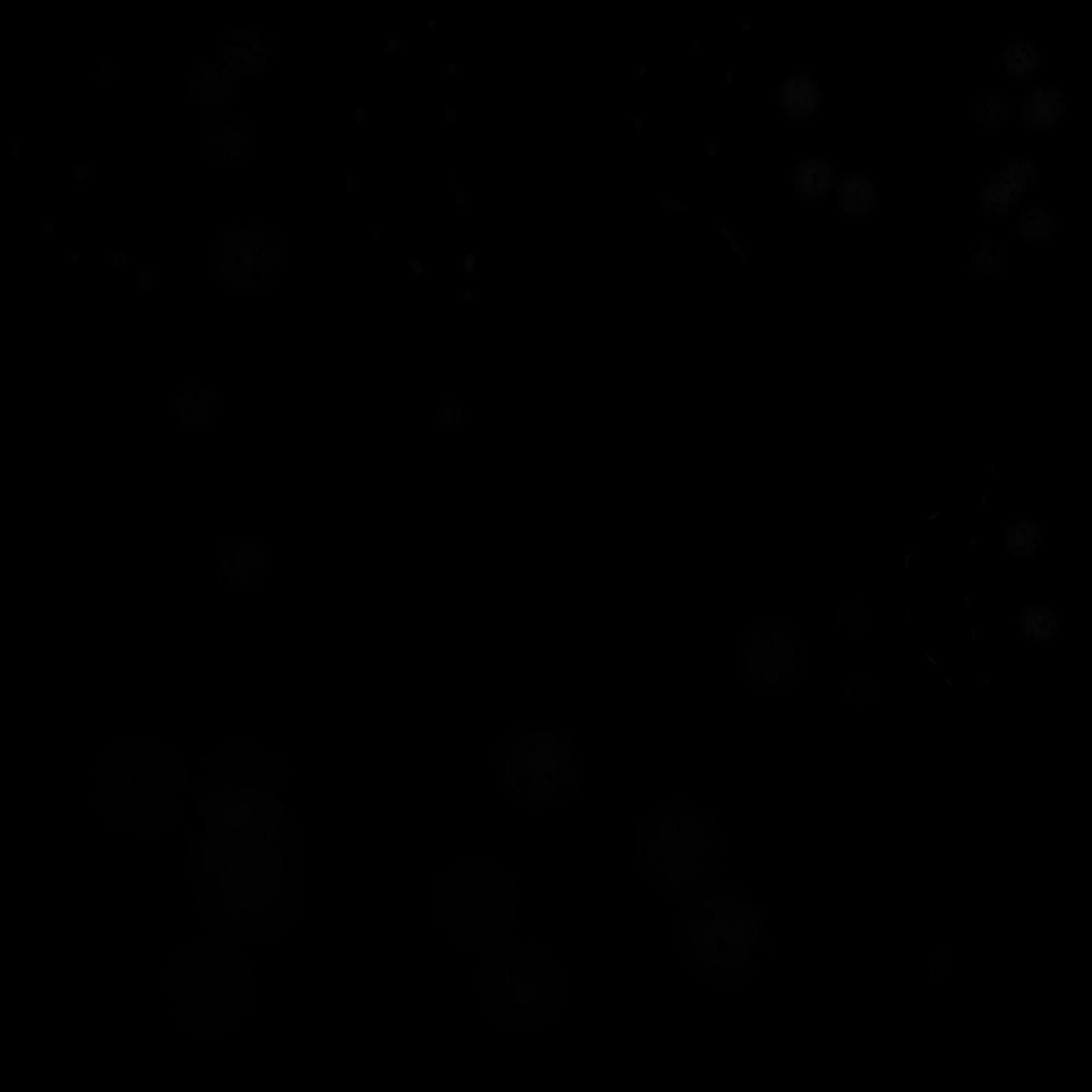 Japanese Maple Tree - Stylized Low-poly 3D model_15